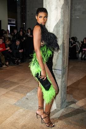 PFW Germanier Front Row Didi Stone attends the Germanier Haute Couture Spring-Summer 2025 show as part of Paris Fashion Week on January 30, 2025 in Paris, France. Photo by Nasser Berzane ABACAPRESS.COM Paris France  Copyright: xBerzanexNasser ABACAx