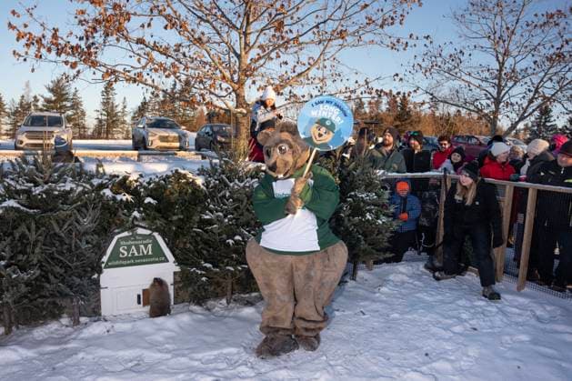 Kanada, Murmeltiertag 2025, Groundhog Day im Shubenacadie Wildlife Park in Nova Scotia February 2, 2025, Subenacadie, Ns, Canada: A mascot displays a sign proclaiming six more weeks of winter after Shubenacadie Sam emerged from her burrow at a Groundhog Day event at the Shubenacadie Wildlife Park in Nova Scotia on Sunday, Feb. 2, 2025. Subenacadie Canada  - ZUMAc35_ 20250202_zaf_c35_007 Copyright: xDarrenxCalabresex