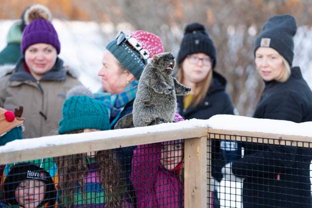 News Bilder des Tages Kanada, Murmeltiertag 2025, Groundhog Day im Shubenacadie Wildlife Park in Nova Scotia February 2, 2025, Subenacadie, Ns, Canada: A child holds a toy groundhog as a crowd gathers to witness Shubenacadie Sam emerge from her burrow at a Groundhog Day event at the Shubenacadie Wildlife Park in Nova Scotia on Sunday, Feb. 2, 2025. Sam saw her shadow and predicts six more weeks of winter. Subenacadie Canada  - ZUMAc35_ 20250202_zaf_c35_009 Copyright: xDarrenxCalabresex