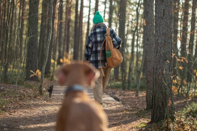 IMAGO Creative, Jahreszeit Herbst auf dem Land Frau geht mit Hund spazieren und genießt die Natur auf einem ökologischen Pfad im skandinavischen Naturpark im Wald. Woman walking with dog enjoying nature on ecotrope in Scandinavian nature park in pine forest. Dog blurred in foreground. Pet owner traveling with dog friend. Tourism in Europe, travel, wanderlust. ,model released, Symbolfoto Copyright: xZoonar.com DmitriixMarchenkox 22737566 ,model released, Symbolfoto ,property released