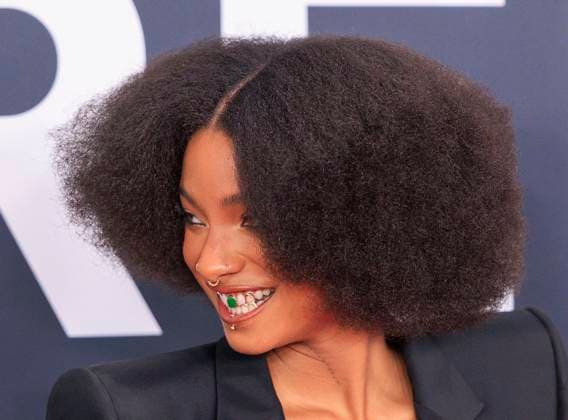 February 2, 2025, Los Angeles, California, USA: Willow Smith at the 67th Grammy Awards held at Crypto.com Arena in Los Angeles California on Sunday February 2, 2025. JAVIER ROJAS PI Los Angeles USA - ZUMAp124 20250202_zaa_p124_225 Copyright: xJavierxRojasx