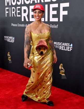 Joy Villa arrives for the 67th Annual Grammy Awards at Crypto.com Arena in Los Angeles on February 2, 2025. The awards ceremony will honor the best recordings, compositions, and artists from September 16, 2023, to August 30. 2024, as chosen by the members of the Recording Academy.  LAP20250202447 JIMxRUYMEN