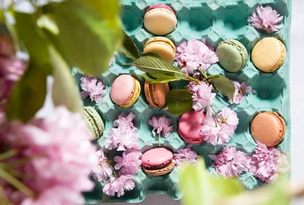 colored macarons on the table against the background of blooming sakura and a cup of coffee, Easter still life, High quality photo , 49237100.jpg, home, mug, woman, young, macaroon, hipster, horizontally, isolated, retro stilllife, easter, cherry blossom, breakfast, coffee, hot, house, interior, morning, dessert, macaroons, cafe, cappuccino, closeup, food, fresh, glass, retro still life, traditional, culture, beautiful, female, girl, pink, sakura, flower, spring, blooming, dress, holiday, romantic, happy, cherry, japanese, floral, summer, sunlight, flowers, hand, life, pretty, women RECORD DATE NOT STATED
