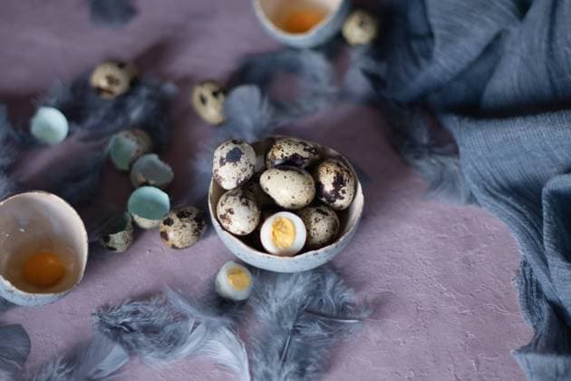 quail eggs in ceramic vases, gray feathers on the table, easter still life, natural food, diet and antioxidants, dark key and shallow depth of field. High quality photo , 49240760.jpg, background, quail, white, ceramics, eggs, nest, speckled, vase, bowl, egg, food, napkin, natural, closeup, group, ancient, antiques, birds, dish, feather, laying, blue, shell, spring, bird, breakfast, delicatessen, diet, eat, eggshell, farm, fresh, gastronomy, gourmet, healthy, ingredient, nature, organic, product, protein, raw, small, bouquet, braided, bread, eating, ecological, easter RECORD DATE NOT STATED