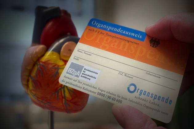 THEMENFOTO -FOTOMONTAGE: Organspendeausweis (Symbolfoto) Organspende,Spenderorgan,Ausweis, *** THEME PHOTO PHOTOMONTAGE organ donor card symbol photo organ donation,donor organ,card,