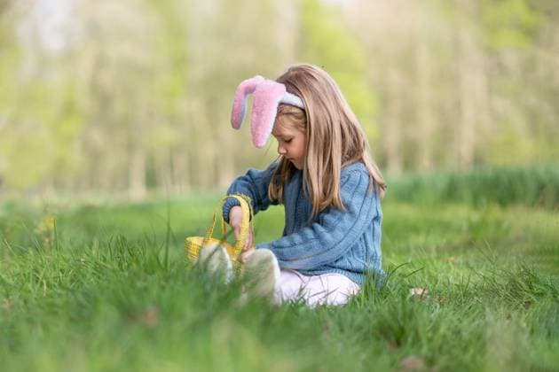 Girl with bunny ears collects the eggs in a basket for Easter, model released, , 49461494.jpg, April, baby, band, basket, bunny, Catholic, celebrate, child, childhood, children, chocolate, christianity, collecting, cute, ears, easter, eggs, feast, festive, find, food, forest, funny, game, garden, gathering, gift, girl, grass, growth, hair, happy, hidden, hunt, kid, lawn, little, nature, painted, park, picking, play, portrait, rabbit, religion, search, seek, spring, tradition, yellow RECORD DATE NOT STATED