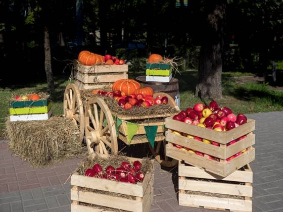 Wagen mit Kisten voller Obst und Gemüse auf der Landwirtschaftsmesse. Cart with boxes of fruits and vegetables at the agricultural fair. Copyright: xZoonar.com StanislavxSablinx 22758710
