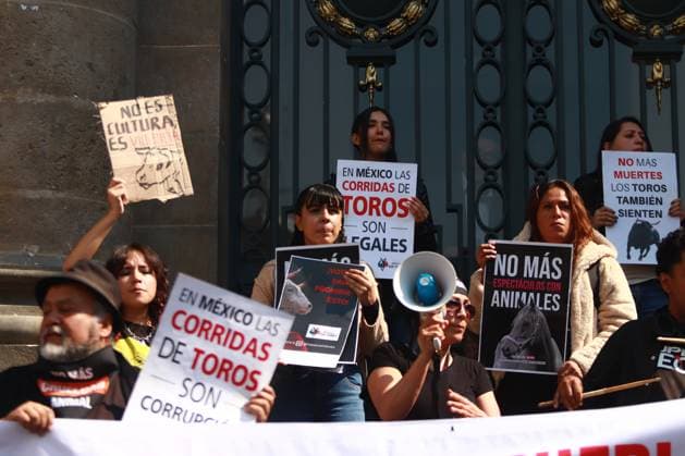 Animal rights activists protest against the decision of the Secretary of Culture to include bullfighting to be considered cultural heritage outside the local Congress. on February 5, 2025 in Mexico City, Mexico. Mexico City Mexico - ZUMAe321 20250205_zia_e321_006 Copyright: xCarlosxSantiagox