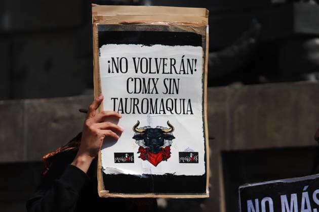 Animal rights activists protest against the decision of the Secretary of Culture to include bullfighting to be considered cultural heritage outside the local Congress. on February 5, 2025 in Mexico City, Mexico. Mexico City Mexico - ZUMAe321 20250205_zia_e321_012 Copyright: xCarlosxSantiagox