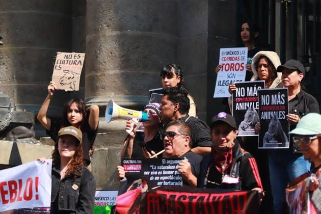 Animal rights activists protest against the decision of the Secretary of Culture to include bullfighting to be considered cultural heritage outside the local Congress. on February 5, 2025 in Mexico City, Mexico. Mexico City Mexico - ZUMAe321 20250205_zia_e321_017 Copyright: xCarlosxSantiagox