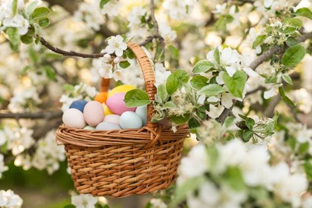 Close up of colorful Easter eggs in a basket. , 50351624.jpg, flower, design, hand, retro, child, girl, vintage, ornament, kid, nature, art, spring, festive, traditional, tradition, season, decoration, celebration, egg, basket, holiday, colorful, color, easter, festival, beautiful, decorated, blue, many, decorative, colored, flora, sunny, painted, present, seasonal, symbol, fun, close up, paint, religion, lawn, closeup, concept, egg hunt, grass, objects, card, collection, daisy RECORD DATE NOT STATED