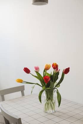 Colorful fresh tulips on a white background. Valentines Day, March 8, spring background , 50492374.jpg, background, springtime, valentine, vibrant, season, pink, tulip, beauty, petal, birthday, elegant, copy space, lovely, bunch, seasonal, red, leaf, bunch of flowers, cut flowers, white background, bouquet of tulips, holiday, mix, fresh, spring, bouquet, easter, floral, flower, gift, nature, isolated, bright, colorful, decoration, natural, interior, summer, close, blooming, love, composition, decor, elegance, greeting card, spring flowers, march 8, botanical, decorative, romantic RECORD DATE NOT STATED