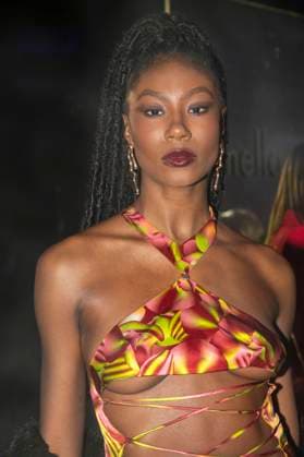 February 10, 2025, New York, United States: Veronica Collins attends the Pamella Roland show during February 2025 New York Fashion Week at The Rainbow Room. New York United States - ZUMAs197 20250210_aab_s197_065 Copyright: xRonxAdarx