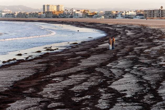 Bilder des Jahres 2025, News 02 Februar News Themen der Woche KW07 News Bilder des Tages February 15, 2025, Venice, California, USA: Debris from the Los Angeles fires that flowed into the ocean after recent rains gathers on the shoreline in Venice Venice USA - ZUMAa01_ 20250215_zaf_a01_003 Copyright: xJonathanxAlcornx