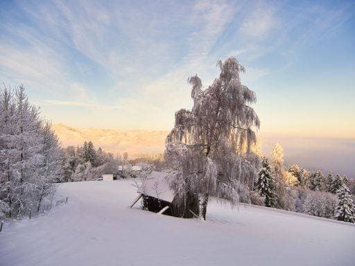 IMAGO Creative, Winter, Auf dem Land A scenic view of a foggy winter sunrise in Gmundnerberg, Salzkammergut, Austria 22850204 RECORD DATE NOT STATED