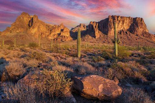 Kalendermotive: Kakteen A scenic desert landscape with cacti against the background of Superstition Mountains. Arizona 23334839 RECORD DATE NOT STATED