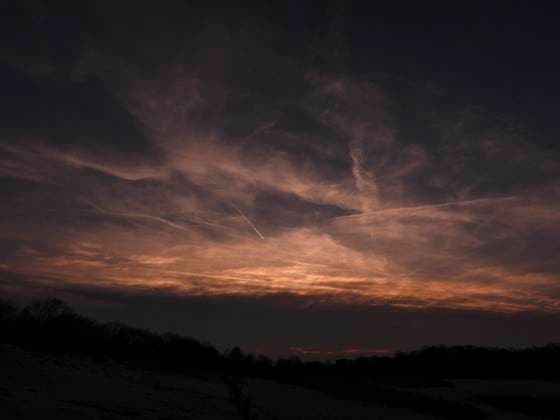 Hamburg - Boberger Duenen 16.Maerz 2022 Saharastaub Sonnenuntergang über Hamburgs Sahara Wüste den Boberger Dünen Besondere Wetterverhältnisse sorgen in diesen Tagen für starke orangerote Sonnenuntergänge Der Sand aus der Sahara wird durch günstige Winde zur Zeit nach Europa geweht. Das führt bei guten Wetter zu stark orangerot gefärbten Sonnenuntergängen und bei Regen zum sogenannten Blutregen wobei die in der Luft fliegenden kleinsten Sandtteilchen auf den Boden regnen . Besonders beeindruckend war das Schauspiel am Mittwoch abend in Hamburgs Sahara Wüste den Boberger Dünen zu sehen. Dabei machte es durch den Wolkenschleier sogar leicht den anschein das der Mond eine orange Farbe angenommen hat. HH Deutschland *** Hamburg Boberger Dune