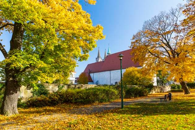 IMAGO Creative, Jahreszeit Herbst in der Stadt bunte Laubfärbung an der Stadtmauer im Herbst, im Hintergrund die Klosterkirche und die Türme der St. Aegidien Kirche, Oschatz, Sachsen, Deutschland *** colorful foliage on the city wall in autumn, in the background the monastery church and the towers of St Aegidien church, Oschatz, Saxony, Germany