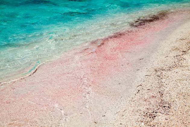 Rosa Sand the pinkish sand in Balos lagoon, Crete, Greece Copyright: xZoonar.com AnnaxLuryex 22896745