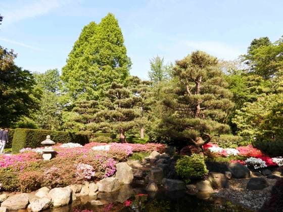 Der Parkplatz des Botanischen Gartens in Klein-Flottbek soll für eine Flüchtlingsunterkunft genutzt werden Uebersicht Pflanzen Blumen Baeume Teich Spazierweg Parkanlage 09.05.2024 Hamburg Klein-Flottbek Der Loki-Schmidt-Garten ist ein öffentlicher Botanischer Garten beim Biozentrum der Universität Hamburg in Hamburg-Osdorf am S-Bahnhof Klein Flottbek Auf dem Parkplatz für Naherholungssuchende sollen Flüchtlingsunterkünften aufgestellt werden. Anwohner wollen dagegen rechtlich vorgehen. Motiv Querformat HH Deutschland *** the Car park of Botanical Garden in Small Flottbek shall for a Refugee accommodation used become Overview Plants Flowers Trees Pond Walking path Parking facilities 09 05 2024 Hamburg Small Flottbek the Loki Schmidt Ga