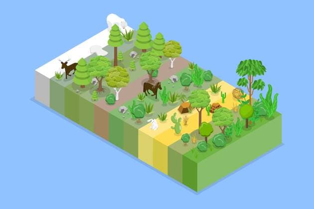 3D Isometrische flache konzeptionelle Illustration der Verteilung des Lebens auf dem Land, geografische Wildtiere Biodiversität<br>3D Isometric Flat Conceptual Illustration of Distribution Of Life On Land, Geographical Wildlife Biodiversity 3D Isometric Flat Conceptual Illustration of Distribution Of Life On Land, Geographical Wildlife Biodiversity 3D Isometric Flat Conceptual Illustration of Distribution Of Life On Land, Geographical Wildlife Biodiversity Copyright: xZoonar.com AnastasiiaxTorianykx 22905221