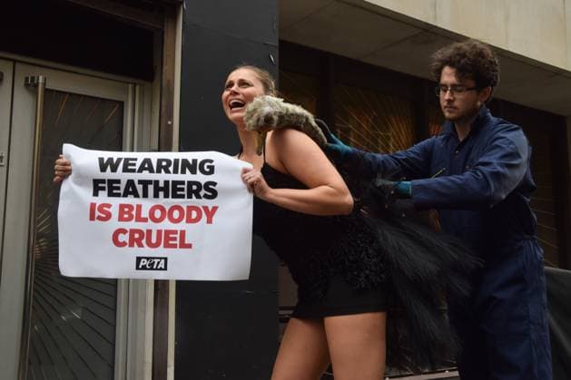 February 21, 2025, London, England, UK: A PETA activist dressed as an ostrich has her feathers violently plucked outside the London Fashion Week NEWGEN show space on The Strand. The action is part of the ongoing PETA campaign against the use of feathers in fashion. London UK - ZUMAv130 20250221_zip_v130_001 Copyright: xVukxValcicx
