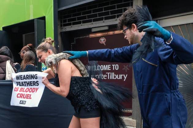 . 21 02 2025. London, United Kingdom. PETA Pluck Ostrich Outside London Fashion Week. A PETA ostrich will has her feathers torn from her body, leaving her bloodied and traumatised, to show Fashion Week attendees what ostriches and other birds may endure in the cruel feather industry for nothing more than some feather trim on a gown.  xMartynxWheatleyx xi-Imagesx IIM-25754-0017