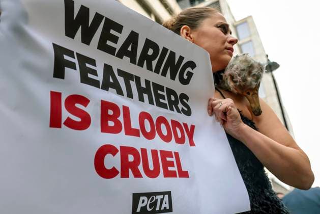 . 21 02 2025. London, United Kingdom. PETA Pluck Ostrich Outside London Fashion Week. A PETA ostrich will has her feathers torn from her body, leaving her bloodied and traumatised, to show Fashion Week attendees what ostriches and other birds may endure in the cruel feather industry for nothing more than some feather trim on a gown.  xMartynxWheatleyx xi-Imagesx IIM-25754-0010