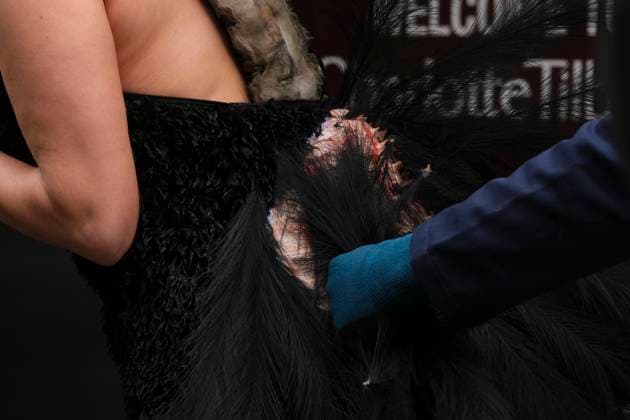 Ostrich violently plucked outside London Fashion Week NewGen Showcase during a PETA protest, London, 21 February 2025 Animal-rights non-profit group PETA (People for the Ethical Treatment of Animals) stages a protest outside 180 Studios, in London, where the British Fashion Council s NewGen Showcase takes place as part of London Fashion Week, 21 February 2025. PETA demands that the cruel feather industry be banned., Credit:Seiya Tanase Avalon  Copyright: xSeiyaxTanasex xAvalonx 0966963277