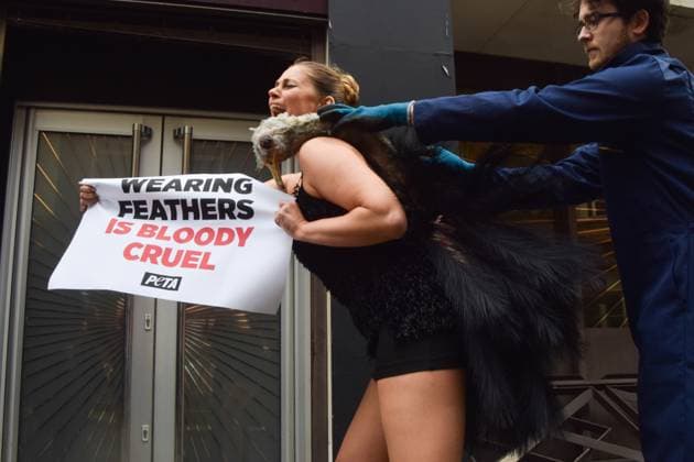 PETA protest against the use of feathers at London Fashion Week, London, UK - 21 Feb 2025 A PETA (People for the Ethical Treatment of Animals) activist holding a Wearing feathers is bloody cruel placard and dressed as an ostrich has her feathers violently plucked during a protest outside the London Fashion Week NEWGEN show space on The Strand. The action is part of the ongoing PETA campaign against the use of feathers in fashion. London United Kingdom Copyright: xVukxValcicx xSOPAxImagesx VukValcicPETALFW210225_13
