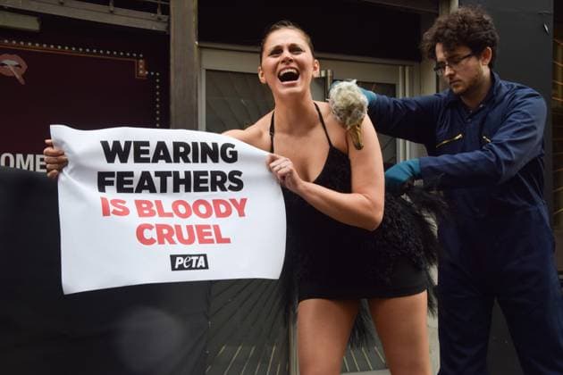 February 21, 2025, London, England, UK: A PETA activist dressed as an ostrich has her feathers violently plucked outside the London Fashion Week NEWGEN show space on The Strand. The action is part of the ongoing PETA campaign against the use of feathers in fashion. London UK - ZUMAv130 20250221_zip_v130_017 Copyright: xVukxValcicx