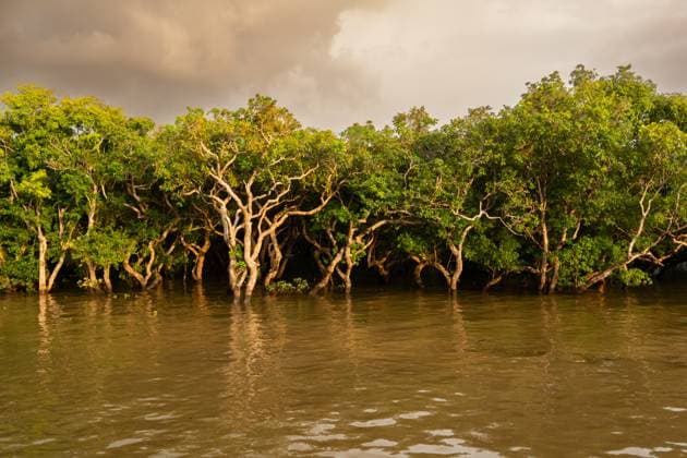 Creative Highlights World Kampong Phluk floating village, mangrove rainforest Krong Siem Reap, Siem Reap Province, Cambodia R_DVDL25022009-1654406-01