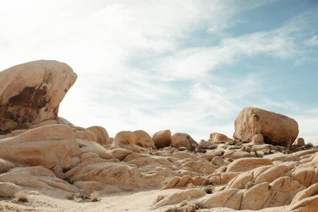 Creative Highlights World Rugged Beauty: Joshua Tree National Park Landscape Joshua Tree, California, United States R_JKPU250225-1662170-01