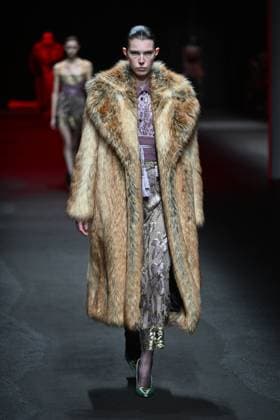 Milan, Italy: Milan, Milan Women s Fashion Week: Fall Winter 2025 - Women s Fashion, Fall Winter 2025.- Roberto Cavalli fashion show - catwalk in the photo: model Milan Italy  - ZUMAp169 20250228_zea_p169_009 Copyright: xSimonaxChiocciax