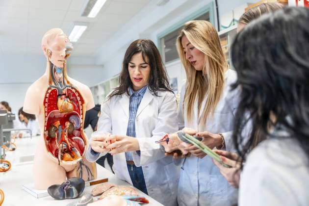 Medizinstudenten bei der Untersuchung von anatomischen Modellen und Organrepliken während des Anatomieunterrichts in einem Universitätslabor Medical students examining anatomical model and organ replicas during anatomy class in university laboratory Copyright: imageBROKER UnaixHuizi ibxuhu12778495.jpg ,model released, Symbolfoto ,property released