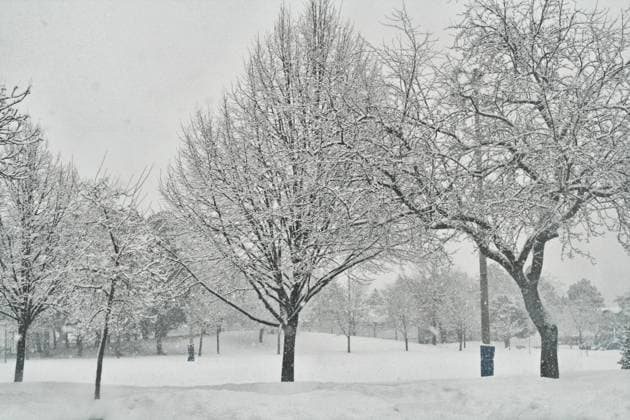 Heavy Snow Falling In Toronto, Canada Heavy snow falls in Toronto, Ontario, Canada, on February 27, 2025. Toronto Ontario Canada  Copyright: xCreativexTouchxImagingxLtdx originalFilename: friedman-heavysno250227_np5EY.jpg