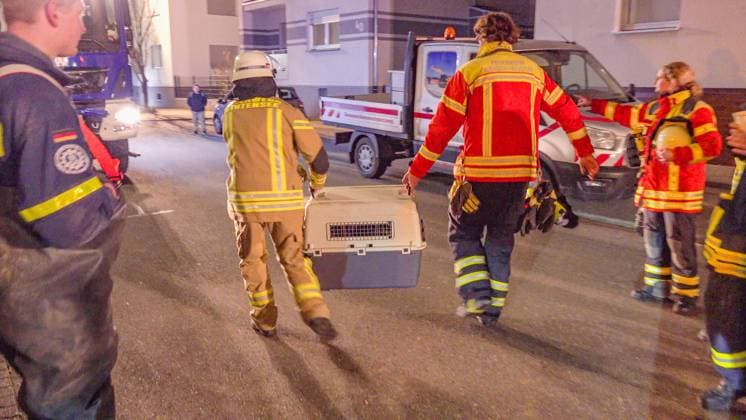News Themen der Woche KW09 News Bilder des Tages Dramatische Rettung aus Brunnenschacht in Stutensee findet nach unfassbaren 9 Stunden ein Happy End: Schäferhund ,,Loki (13) fällt in vier Meter tiefen Brunnenschaft in Anbau von Wohnhaus - Feuerwehr und Technisches Hilfswerk graben Rohr-Schacht mühse Dramatische Rettung aus Brunnenschacht in Stutensee findet nach unfassbaren 9 Stunden ein Happy End: Schäferhund ,,Loki (13) fällt in vier Meter tiefen Brunnenschaft in Anbau von Wohnhaus - Feuerwehr und Technisches Hilfswerk graben Rohr-Schacht mühselig aus und bauen auf der Straßenkreuzung vor dem Gebäude kurzerhand eine große Holzverschalung um an den Vierbeiner im Wasserschacht zu gelangen, auch ein Saugbagger rückt an - Tierärztin versorgt Hund mit Sauerstoff über Schlauch - Copyright: xFabianxGeierx xEinsatzReport24x