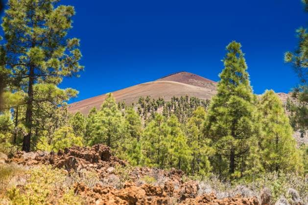 Eine Landschaftsszene des Berges Teide auf Teneriffa A landscape scene of Mount Teide in Tenerife. Concept: travel, nature exploration, and educational content about volcanic landscapes. Copyright: xZoonar.com AnnaxLuryex 22957439
