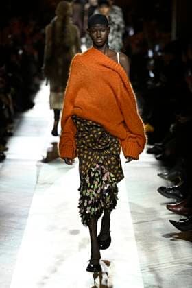 Dries van Noten Ready to wear fall winter 2025 26 Paris March 2025 Dries van Noten Ready to wear fall winter 2025 26 Paris March 2025, Credit:Zeppelin Avalon  Copyright: xZeppelinx xAvalonx 0972553368