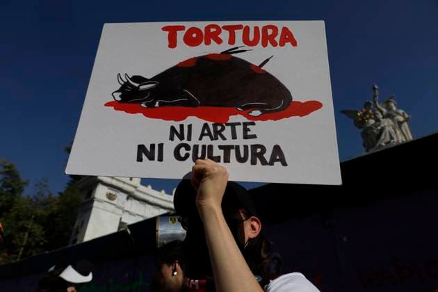 Historic: Mexico City Congress Approves Resolution Banning Violent Bullfighting Animal rights activists gather at the Juarez Hemicycle in Mexico City, Mexico, on March 18, 2025, to celebrate the approval by the Mexico City Congress of the ruling banning violent bullfights, following an initiative submitted by Mayor Clara Brugada. Mexico City Mexico City Mexico  Copyright: xGerardoxVieyrax originalFilename: vieyra-notitle250318_npFfT.jpg