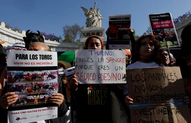 Historic: Mexico City Congress Approves Resolution Banning Violent Bullfighting Animal rights activists gather at the Juarez Hemicycle in Mexico City, Mexico, on March 18, 2025, to celebrate the approval by the Mexico City Congress of the ruling banning violent bullfights, following an initiative submitted by Mayor Clara Brugada. Mexico City Mexico City Mexico  Copyright: xGerardoxVieyrax originalFilename: vieyra-notitle250318_nphMh.jpg