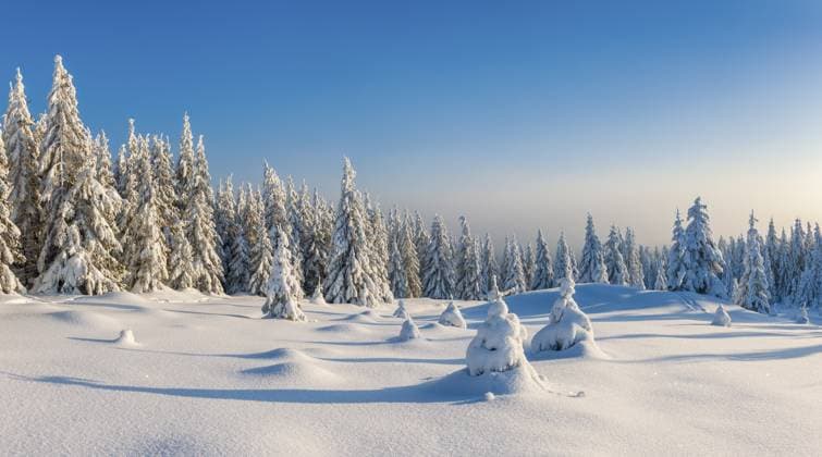 Creative Highlights World Tief verschneite Winterlandschaft, schneebedeckte Fichten im Abendlicht, Nationalpark Harz, Sachsen-Anhalt, Deutschland, Europa Snow-covered winter landscape, snow-covered spruces in the evening light, Harz National Park, Saxony-Anhalt, Germany, Europe Copyright: imageBROKER AndreasxVitting iblavg12925066.jpg