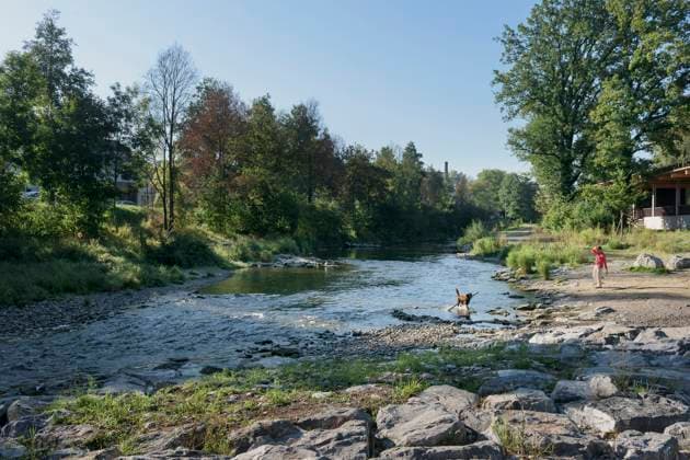 REVITALISIERUNG MURG AUEN PARK Ein Hund erfrischt sich am Mittwoch (24.08.16) im Murg Auen Park in Frauenfeld. Thurgau Schweiz Suisse Svizzera Switzerland *** REVITALIZATION MURG AUEN PARK A dog refreshes itself on Wednesday 24 08 16 in Murg Auen Park in Frauenfeld Thurgau Switzerland Switzerland Svizzera Switzerland  Copyright: Ex-PressxMarkusxFortex MFO20160824_002