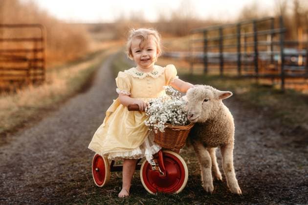 Creative Highlights Symbolfotos little girl snuggling lamb outside on farm Beaver, West Virginia, United States CR_ZVBJ250320A-1686156-01 ,model released, Symbolfoto