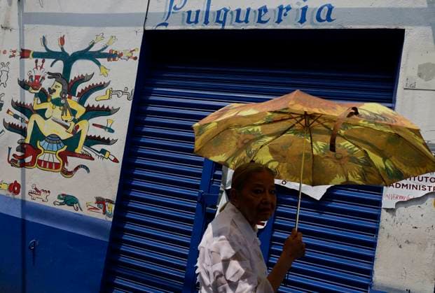 Pulquerias Protest Closure Of Pulquerias In Mexico City Pulqueras and pulqueros protest outside the La Paloma Azul pulqueria in Mexico City, Mexico, on March 25, 2025, after authorities order the closure of the establishment, in addition to the closure of other pulquerias in the capital. Those affected claim that the measure is applied indiscriminately, affecting businesses that, in many cases, operate legally and have years of tradition in the city. Mexico City Mexico City Mexico  Copyright: xGerardoxVieyrax originalFilename: vieyra-notitle250325_npwlt.jpg