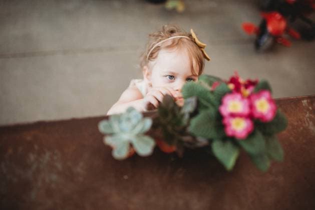 Creative Highlights Symbolfotos little girl reaching for potted plant Beckley, West Virginia, United States CR_ZVBJ250319-1686170-01 ,model released, Symbolfoto