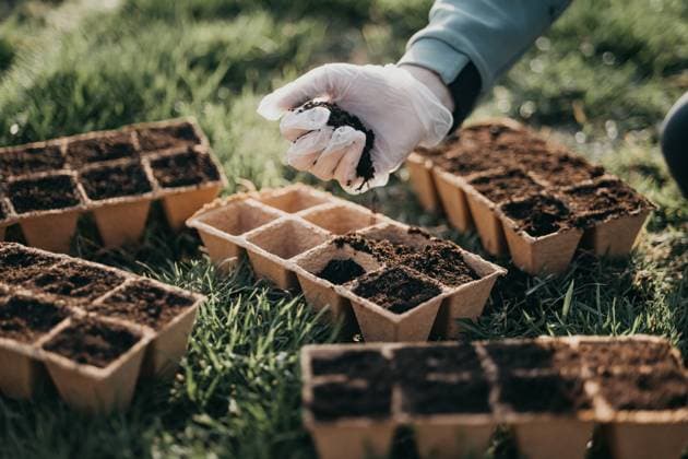 Sustainable Growth Planting Organic Seeds by Hand V?lenii de Munte, Prahova, Romania R_BUEM250319-1686950-01