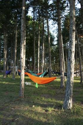 Hängematten auf Bäumen im Wald. Sonnenschein am Morgen im Wald. Viele Hängematten. Ruhe im Freien Konzept Hammocks on trees in the forest. Sunshine morning in the forest. Many hammocks. Rest outdoor concept Copyright: imageBROKER DeyanxGeorgiev ibxiqx12788708.jpg