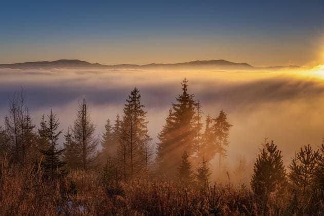 Nebel in den Ausläufern der Hohen Tatra bei Sonnenaufgang in der Nähe von Strbske pleso Nebel in den Ausläufern der Hohen Tatra bei Sonnenaufgang in der Nähe von Strbske pleso Copyright: xZoonar.com JaroslavxSugarekx 23074090
