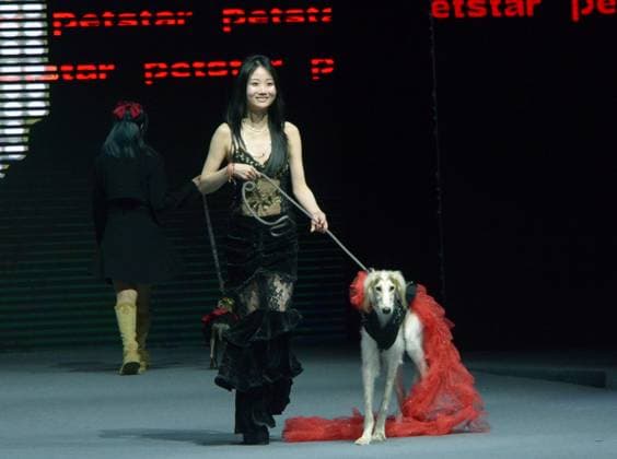 Shanghai Fashion Week, Modenschau mit Haustieren SHANGHAI, CHINA - MARCH 28: A pet dog accompanied by model walks the runway during 2025 Petjoy Fashion Week at Shanghai Fashion Center on March 28, 2025 in Shanghai, China. The eagerly anticipated 2025 Petjoy Fashion Week will be held on March 28-30 at the Shanghai Fashion Center, bringing together pet lovers, designers and trendsetters from around the world for a special celebration of pet fashion.  Copyright: xVCGx 111557934150